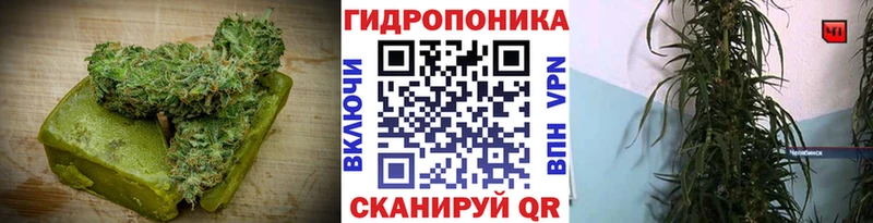 Canna-Cookies конопля  Сыктывкар 